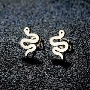 🐍Stainless Steel Snake Stud Earrings NWT